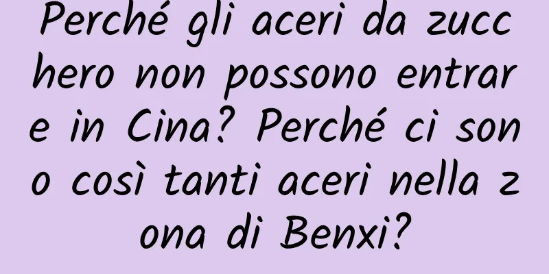 Perché gli aceri da zucchero non possono entrare in Cina? Perché ci sono così tanti aceri nella zona di Benxi?