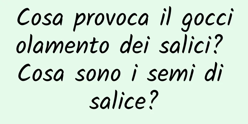 Cosa provoca il gocciolamento dei salici? Cosa sono i semi di salice?