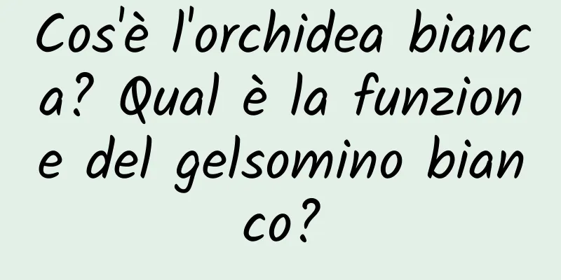Cos'è l'orchidea bianca? Qual è la funzione del gelsomino bianco?