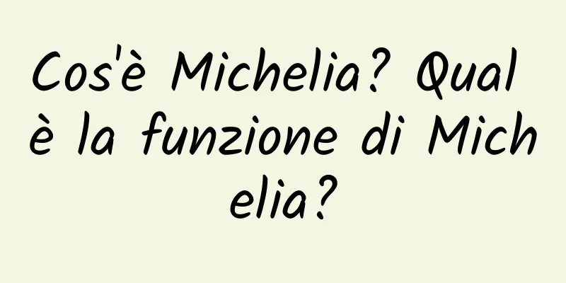 Cos'è Michelia? Qual è la funzione di Michelia?