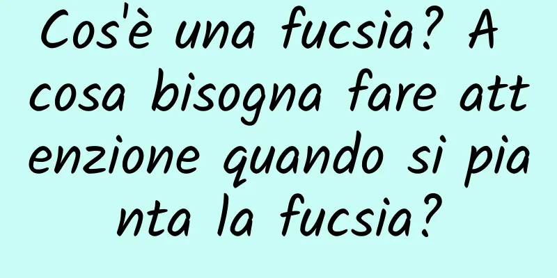 Cos'è una fucsia? A cosa bisogna fare attenzione quando si pianta la fucsia?