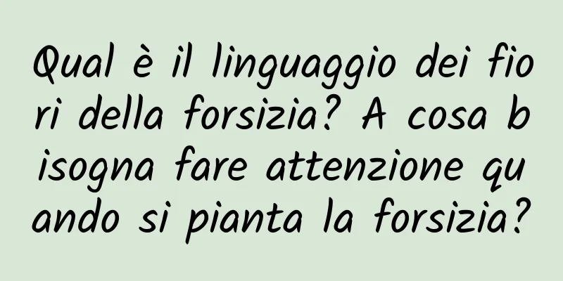 Qual è il linguaggio dei fiori della forsizia? A cosa bisogna fare attenzione quando si pianta la forsizia?