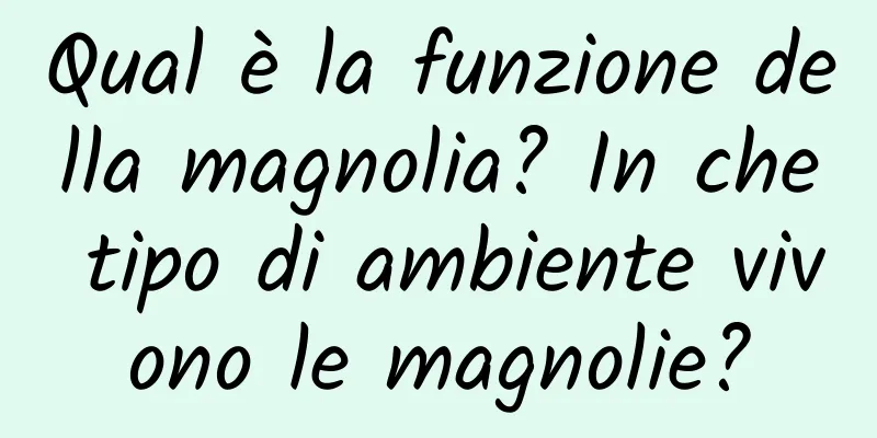 Qual è la funzione della magnolia? In che tipo di ambiente vivono le magnolie?
