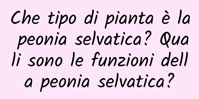 Che tipo di pianta è la peonia selvatica? Quali sono le funzioni della peonia selvatica?