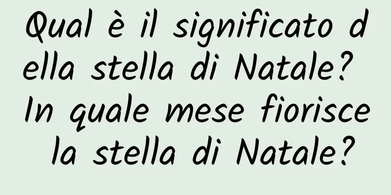 Qual è il significato della stella di Natale? In quale mese fiorisce la stella di Natale?