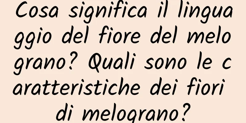 Cosa significa il linguaggio del fiore del melograno? Quali sono le caratteristiche dei fiori di melograno?