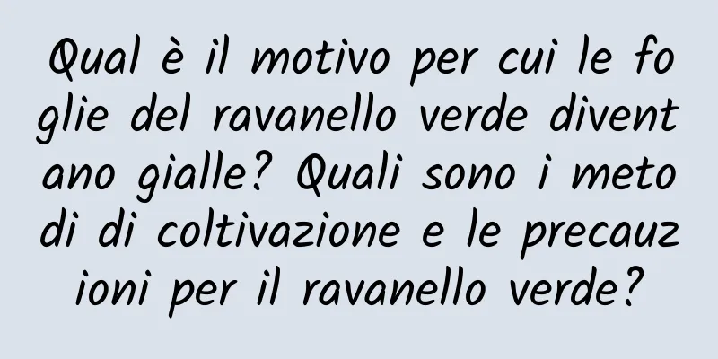 Qual è il motivo per cui le foglie del ravanello verde diventano gialle? Quali sono i metodi di coltivazione e le precauzioni per il ravanello verde?