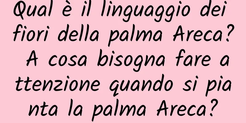 Qual è il linguaggio dei fiori della palma Areca? A cosa bisogna fare attenzione quando si pianta la palma Areca?