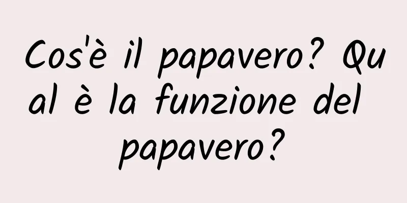 Cos'è il papavero? Qual è la funzione del papavero?
