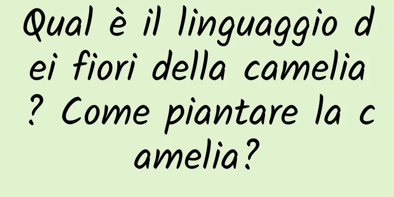 Qual è il linguaggio dei fiori della camelia? Come piantare la camelia?