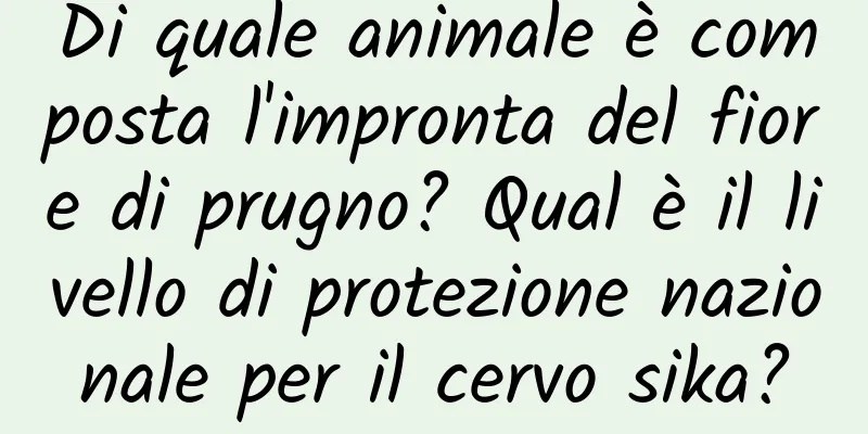 Di quale animale è composta l'impronta del fiore di prugno? Qual è il livello di protezione nazionale per il cervo sika?