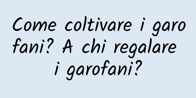 Come coltivare i garofani? A chi regalare i garofani?
