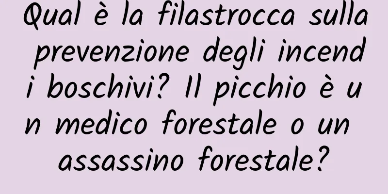 Qual è la filastrocca sulla prevenzione degli incendi boschivi? Il picchio è un medico forestale o un assassino forestale?