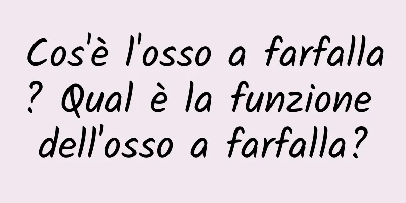 Cos'è l'osso a farfalla? Qual è la funzione dell'osso a farfalla?