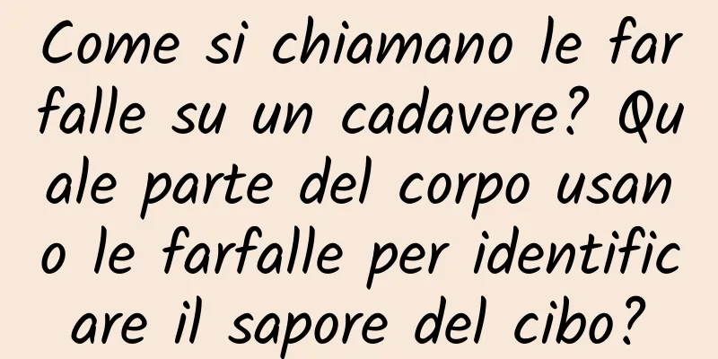 Come si chiamano le farfalle su un cadavere? Quale parte del corpo usano le farfalle per identificare il sapore del cibo?