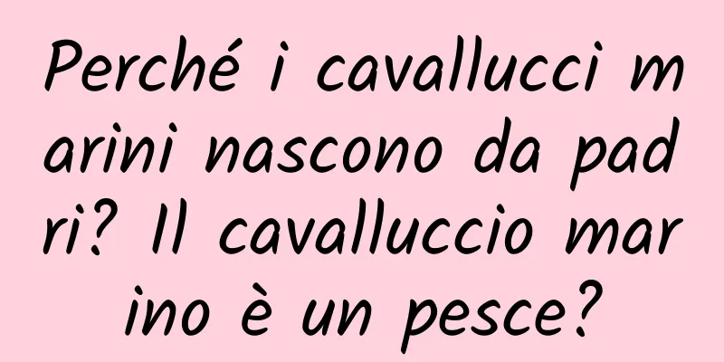 Perché i cavallucci marini nascono da padri? Il cavalluccio marino è un pesce?