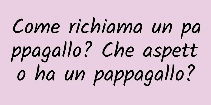 Come richiama un pappagallo? Che aspetto ha un pappagallo?