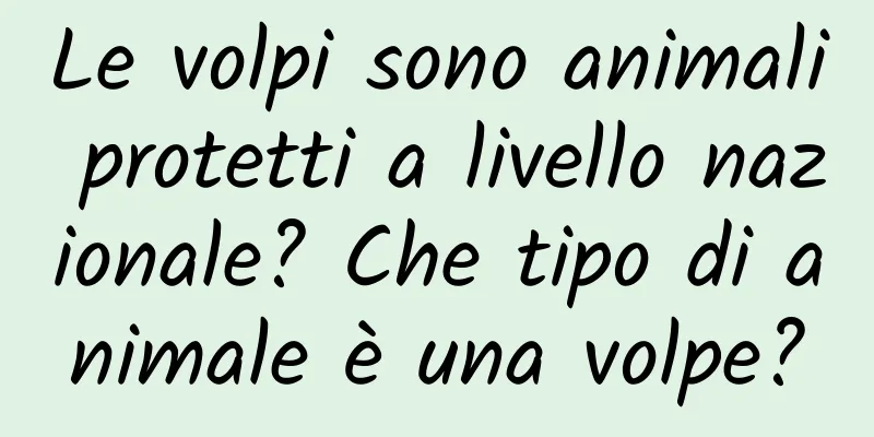 Le volpi sono animali protetti a livello nazionale? Che tipo di animale è una volpe?