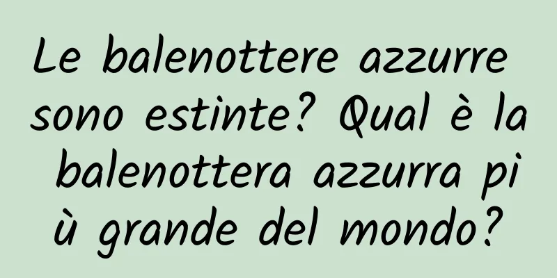 Le balenottere azzurre sono estinte? Qual è la balenottera azzurra più grande del mondo?