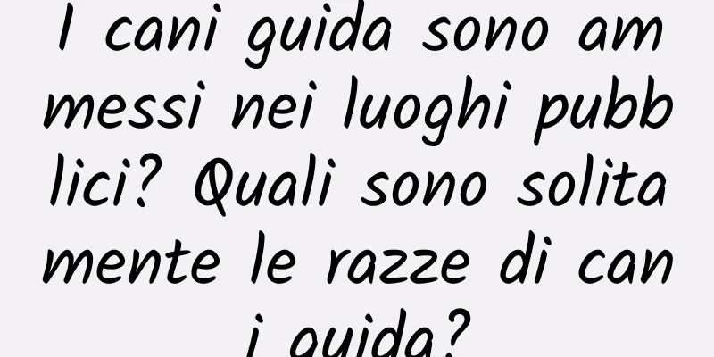 I cani guida sono ammessi nei luoghi pubblici? Quali sono solitamente le razze di cani guida?