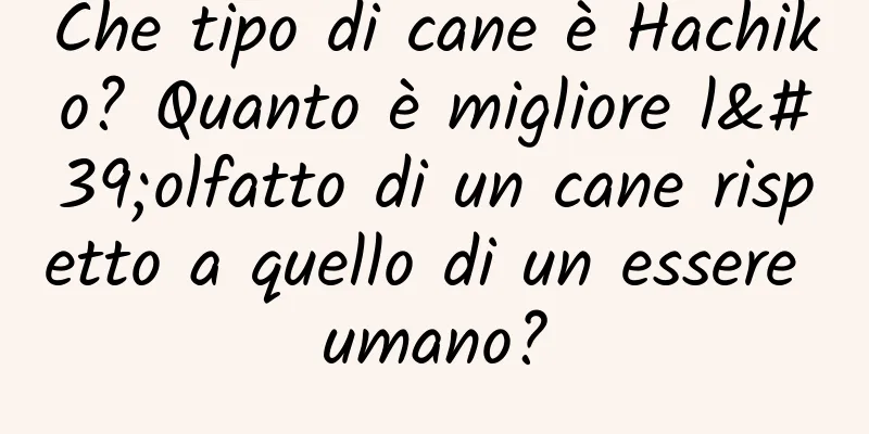 Che tipo di cane è Hachiko? Quanto è migliore l'olfatto di un cane rispetto a quello di un essere umano?