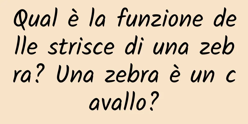 Qual è la funzione delle strisce di una zebra? Una zebra è un cavallo?