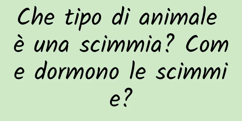 Che tipo di animale è una scimmia? Come dormono le scimmie?