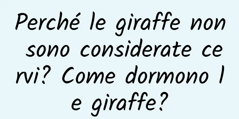 Perché le giraffe non sono considerate cervi? Come dormono le giraffe?