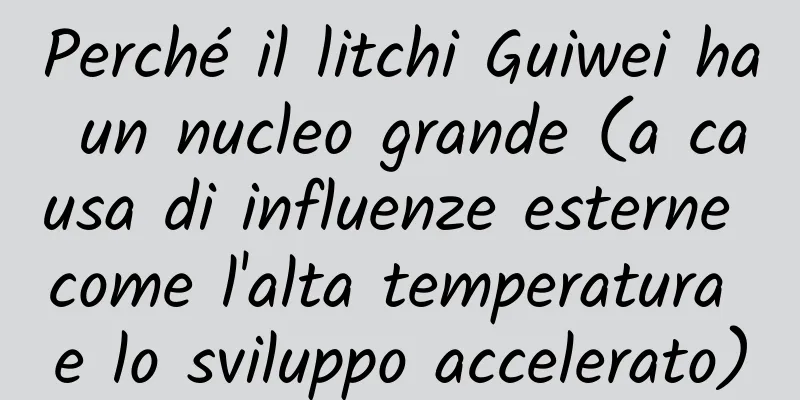 Perché il litchi Guiwei ha un nucleo grande (a causa di influenze esterne come l'alta temperatura e lo sviluppo accelerato)