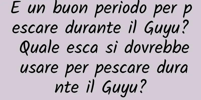 È un buon periodo per pescare durante il Guyu? Quale esca si dovrebbe usare per pescare durante il Guyu?