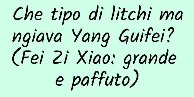 Che tipo di litchi mangiava Yang Guifei? (Fei Zi Xiao: grande e paffuto)