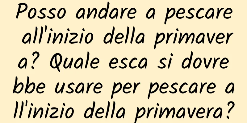 Posso andare a pescare all'inizio della primavera? Quale esca si dovrebbe usare per pescare all'inizio della primavera?