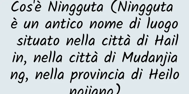 Cos'è Ningguta (Ningguta è un antico nome di luogo situato nella città di Hailin, nella città di Mudanjiang, nella provincia di Heilongjiang)