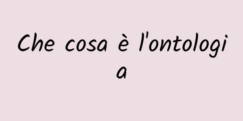 Che cosa è l'ontologia