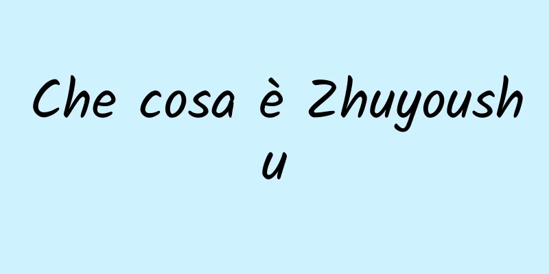 Che cosa è Zhuyoushu