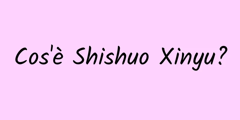 Cos'è Shishuo Xinyu?