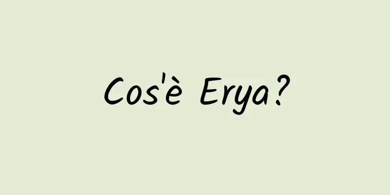 Cos'è Erya?