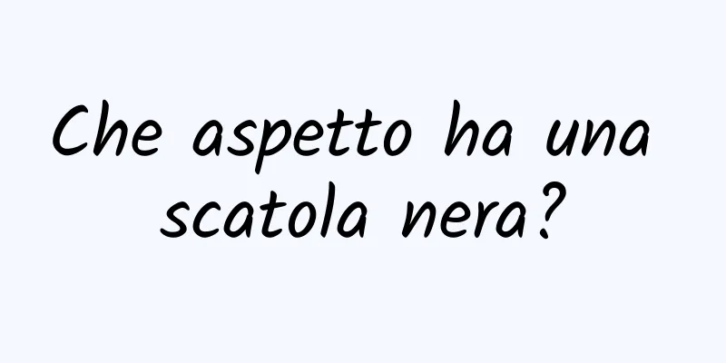 Che aspetto ha una scatola nera?