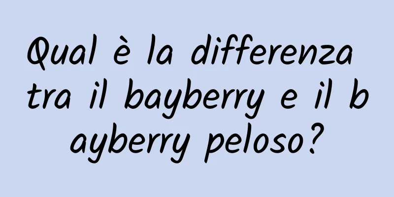 Qual è la differenza tra il bayberry e il bayberry peloso?