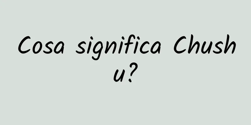 Cosa significa Chushu?