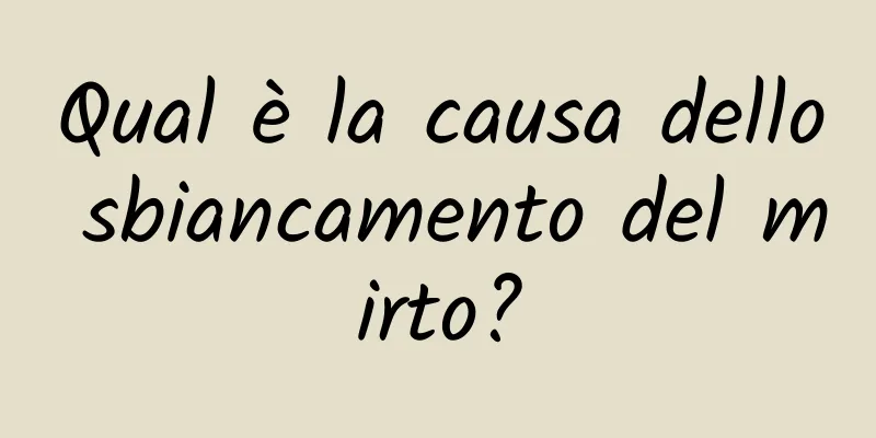 Qual è la causa dello sbiancamento del mirto?