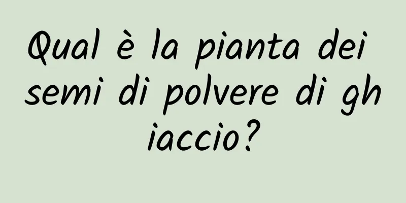 Qual è la pianta dei semi di polvere di ghiaccio?