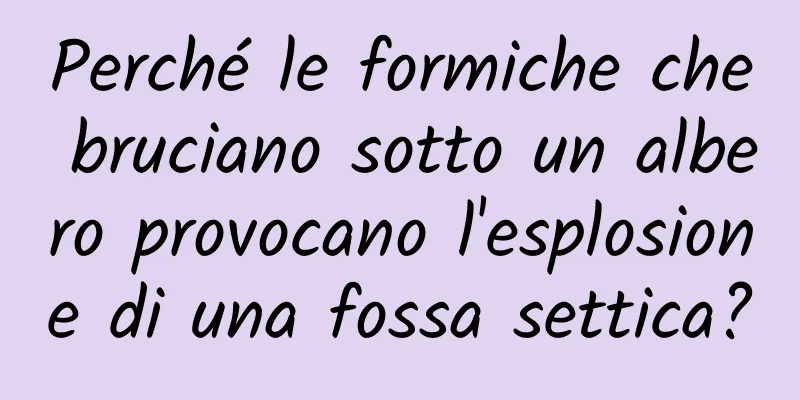 Perché le formiche che bruciano sotto un albero provocano l'esplosione di una fossa settica?