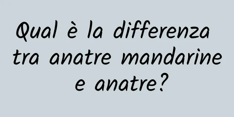 Qual è la differenza tra anatre mandarine e anatre?