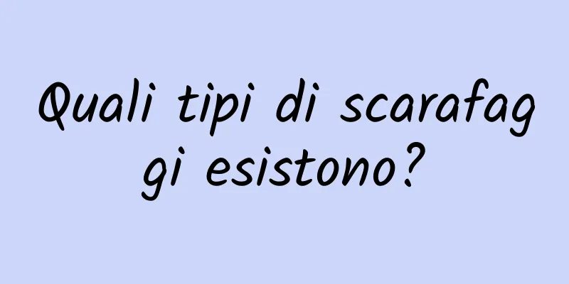 Quali tipi di scarafaggi esistono?