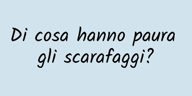 Di cosa hanno paura gli scarafaggi?
