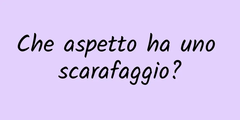 Che aspetto ha uno scarafaggio?