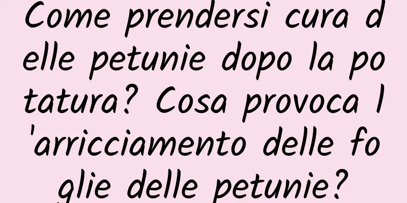 Come prendersi cura delle petunie dopo la potatura? Cosa provoca l'arricciamento delle foglie delle petunie?