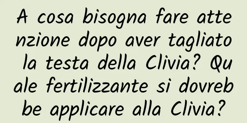 A cosa bisogna fare attenzione dopo aver tagliato la testa della Clivia? Quale fertilizzante si dovrebbe applicare alla Clivia?