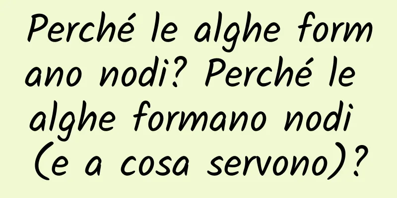 Perché le alghe formano nodi? Perché le alghe formano nodi (e a cosa servono)?